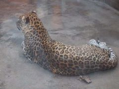 -西安秦岭野生动物园