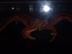 -同济大学四平路校区深海探索馆