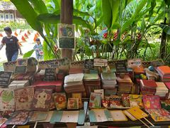 -大象粑粑造纸公园