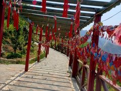 -野三坡刘家河高山漂流