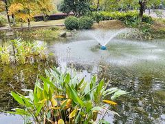 -3W咖啡(国家软件园店)