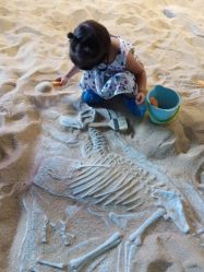 -恐龙探索乐园(磁器口店)