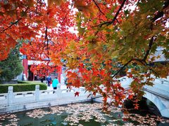 -香山公园