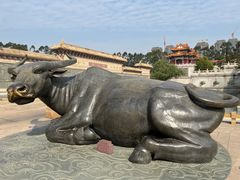 -广东圆玄道观