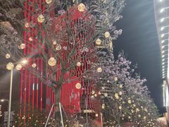 -深圳湾万象城(南山店)