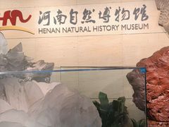 -河南自然博物馆