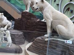 -陕西自然博物馆