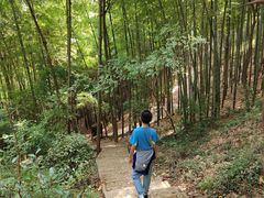 -上海佘山国家森林公园天马山园