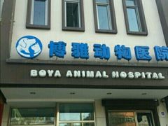 -纳吉亚猫专科动物医院博雅分院