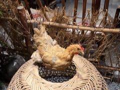 -洞庭土菜馆(天河北总店)