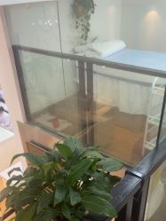 -蕾特恩祛痘•皮肤管理