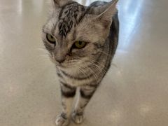 -共舞时光猫咖·狗咖(新街口店)