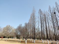 -济南植物园
