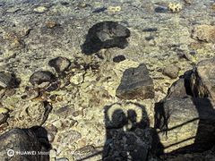-三亚西岛海洋文化旅游区