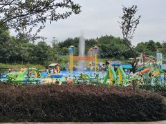 -成都松鼠部落