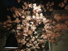 -野妹经典火锅(江夏中百店)