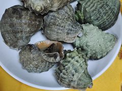 -翠景湾脆鱼轩·中山脆肉鲩(井岸17年老店)