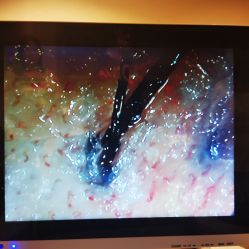 -时尚殿堂明星门店