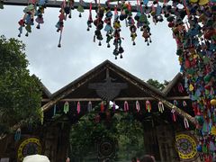 -西双版纳原始森林公园