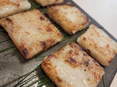 -光明小镇欢乐田园