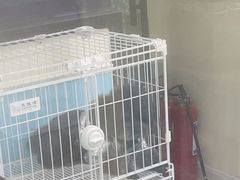 -天宠宠物医院24小时·急重症诊疗中心·全科·腔镜特色(和平分院)