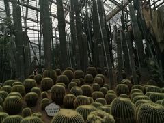 -南山植物园