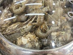 -仙螺岛海鲜自助餐厅(总店)