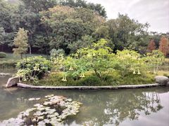 -云溪植物园