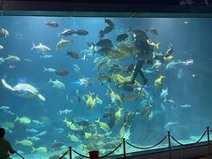 -福州罗源湾海洋世界旅游区