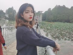 -东湖落雁景区