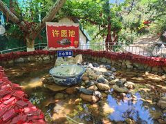 -西霞口神雕山野生动物世界