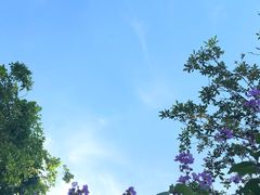 -广东工业大学(大学城校区)