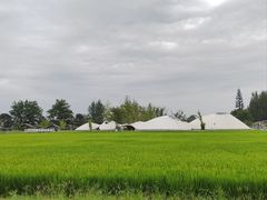 -中国天府农业博览园