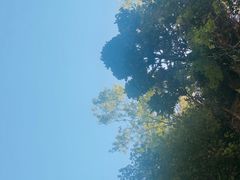 -楠溪江风景名胜区