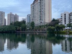 -四海公园(南山区)