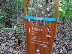 -华侨城湿地公园