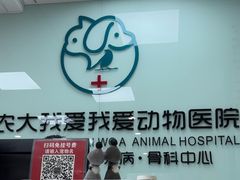-中农大我爱我爱动物医院·核磁CT·猫病·24小时夜诊中心(石佛营店)