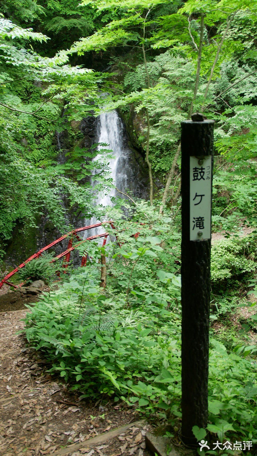 山脚下放有简易的登山杖,如果是对登山没信心的小伙伴