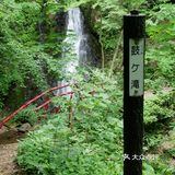 山脚下放有简易的登山杖,如果是对登山没信心的小伙伴