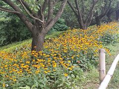 -贵阳市花溪国家城市湿地公园