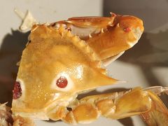 -渔家火锅·海鲜自助餐·演艺(亚龙湾天域酒店)