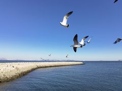 -东港音乐喷泉广场