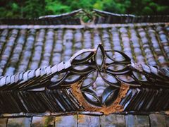 -杨家堂村