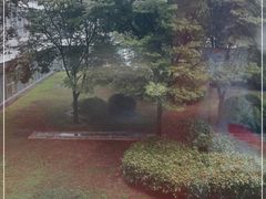-夏阳湖皇冠假日酒店-自助餐厅