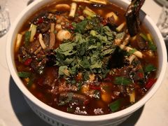 -院8里·小聚园老川菜(九眼桥店)