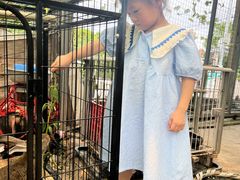 -马陆小张葡萄园农家乐