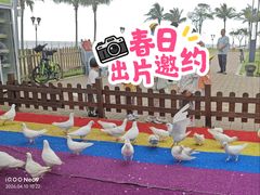 -野狸岛