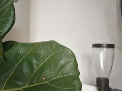 -常识咖啡common sense(春熙路店)