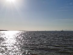 -苏州湾体育公园