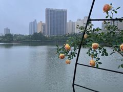 -黄兴公园